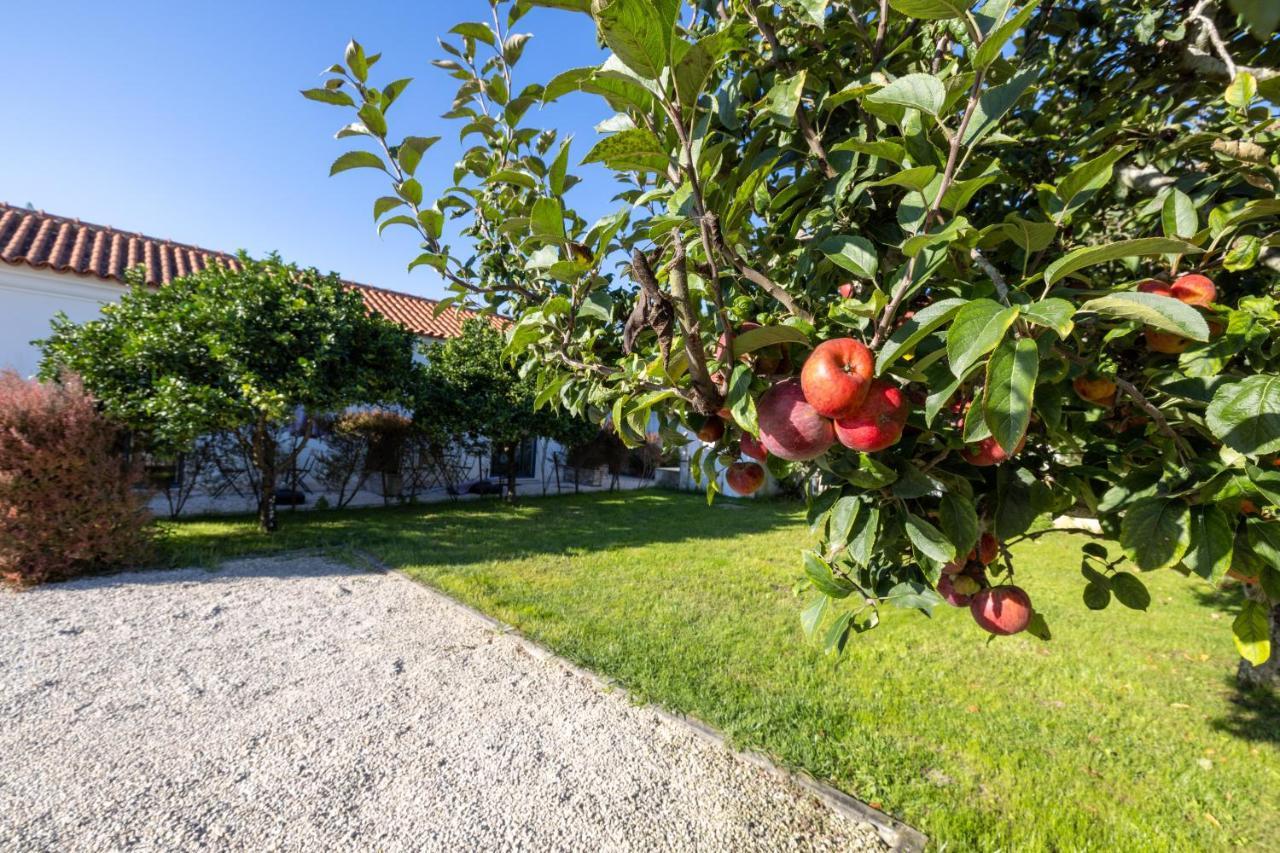 Casa Da Lagoa E Forja - Turismo Rural 미라 외부 사진